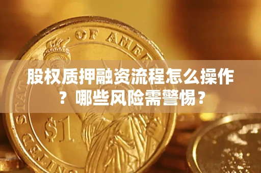 济南股权质押融资流程怎么操作？哪些风险需警惕？