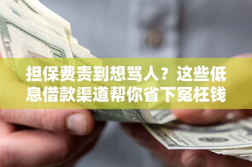 济南担保费贵到想骂人？这些低息借款渠道帮你省下冤枉钱