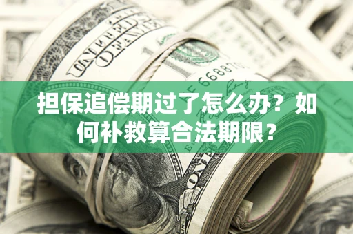 济南担保追偿期过了怎么办？如何补救算合法期限？