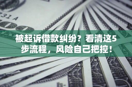 济南被起诉借款纠纷？看清这5步流程，风险自己把控！